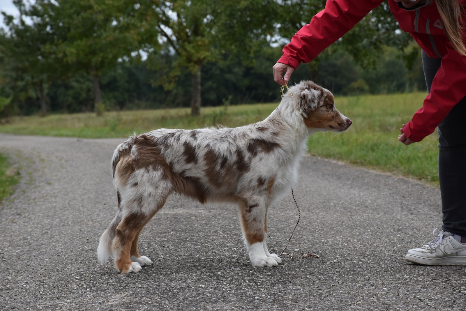 Kane - Legacy of Thimble After The Storm